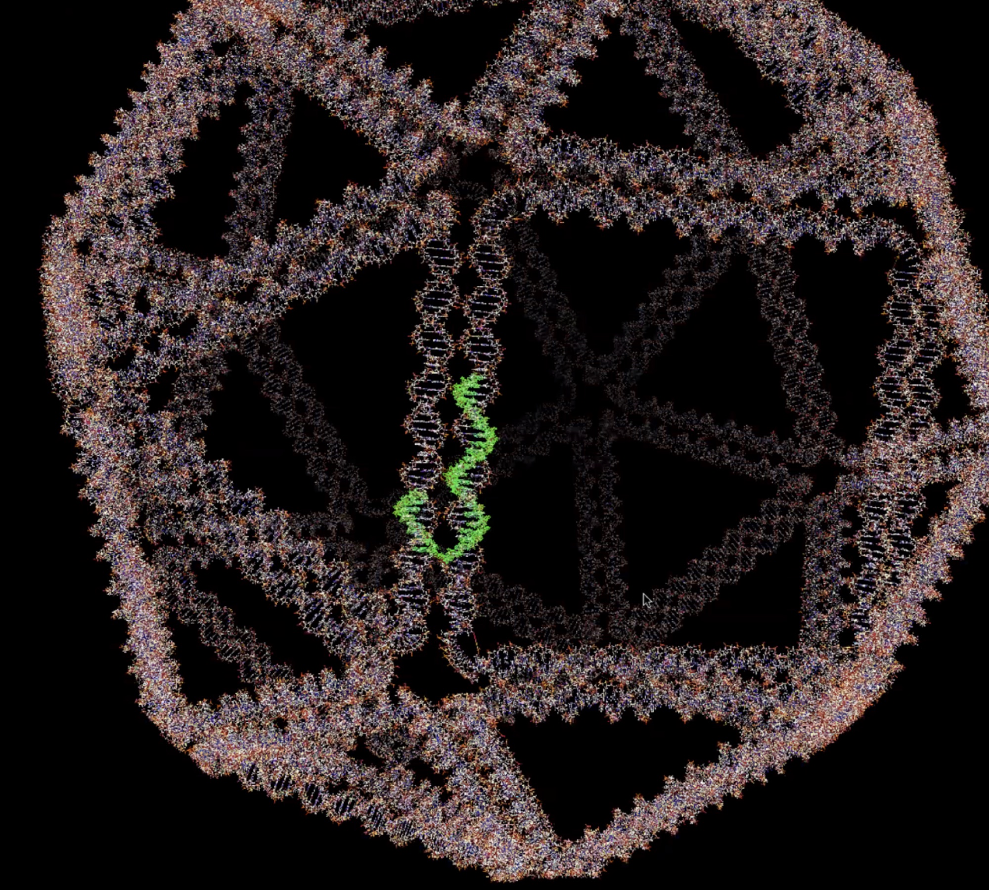 A 3D view of DNA origami structures.